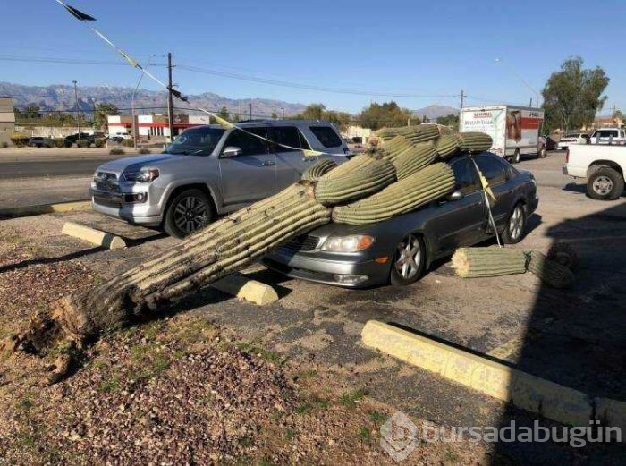 Günün en çok paylaşılan fotoğrafları (05.04.2019)