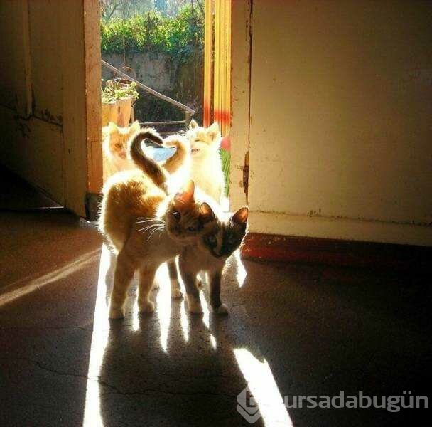 Günün en çok paylaşılan fotoğrafları (05.04.2019)