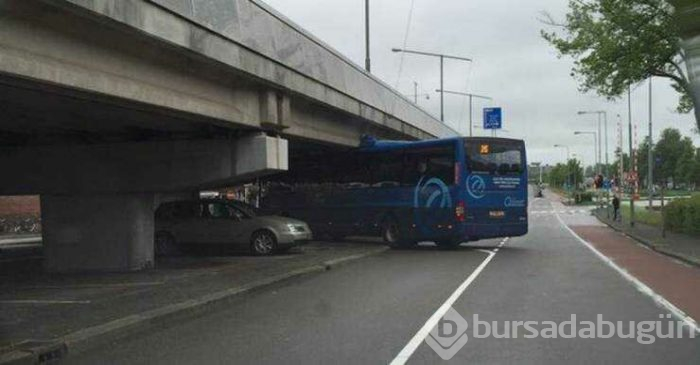 Günün en çok paylaşılan fotoğrafları (05.04.2019)