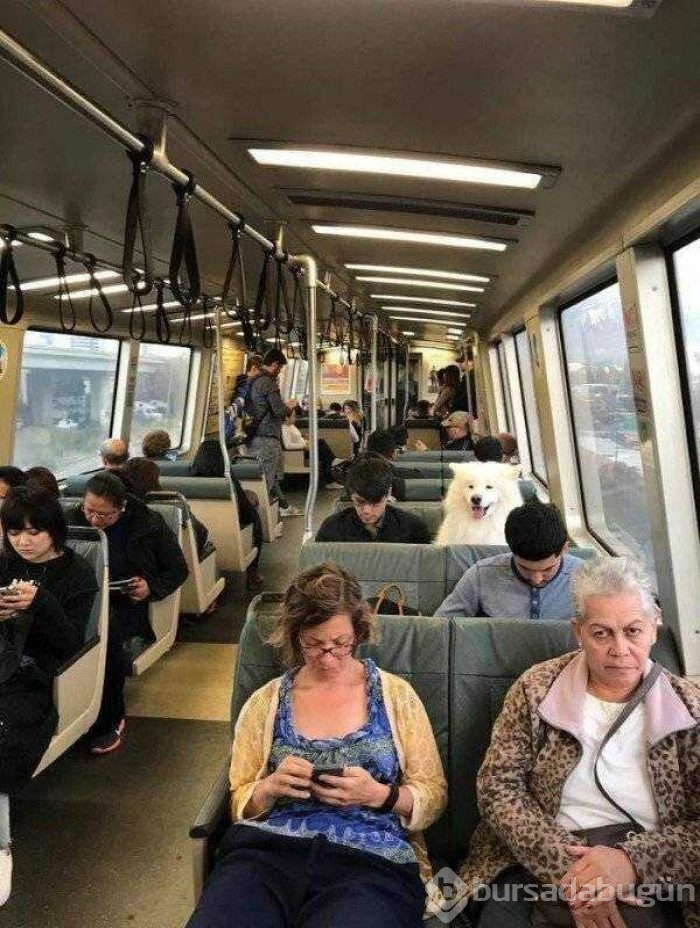 Günün en çok paylaşılan fotoğrafları (05.04.2019)