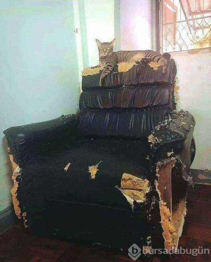 Günün en çok paylaşılan fotoğrafları (05.04.2019)