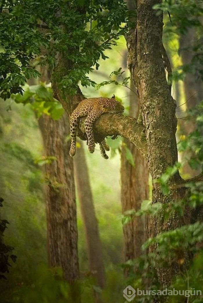 Günün en çok paylaşılan fotoğrafları (05.04.2019)