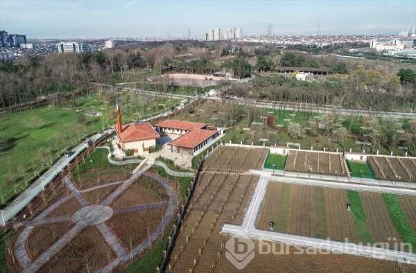  Esenler 15 Temmuz Millet Bahçesi'nde mangal oylaması yapıldı