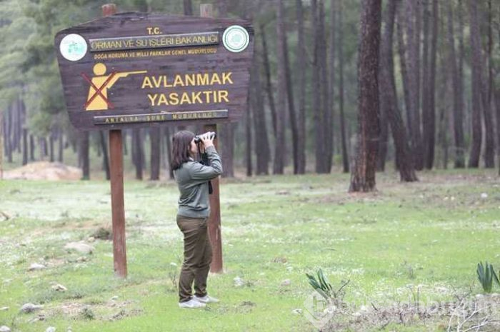  Hayvanat bahçesinden kaçan kurt aranıyor 