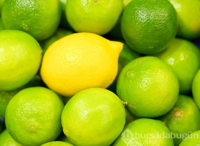 Limon ile lime arasındaki farkı biliyor musunuz? İşte şaşırtan gerçek