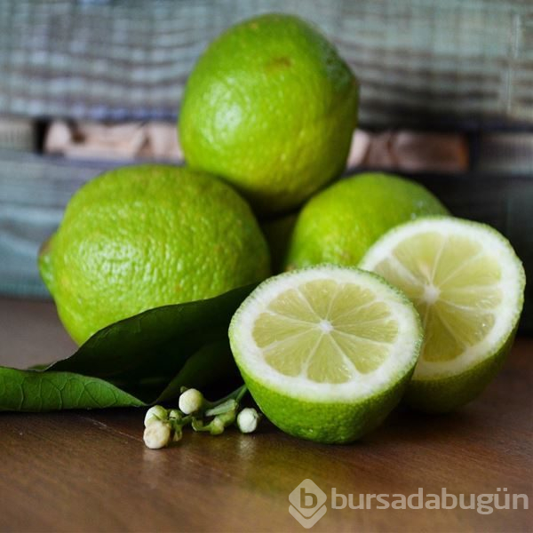 Limon ile lime arasındaki farkı biliyor musunuz? İşte şaşırtan gerçek