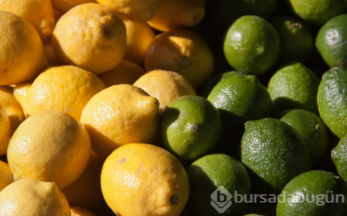 Limon ile lime arasındaki farkı biliyor musunuz? İşte şaşırtan gerçek