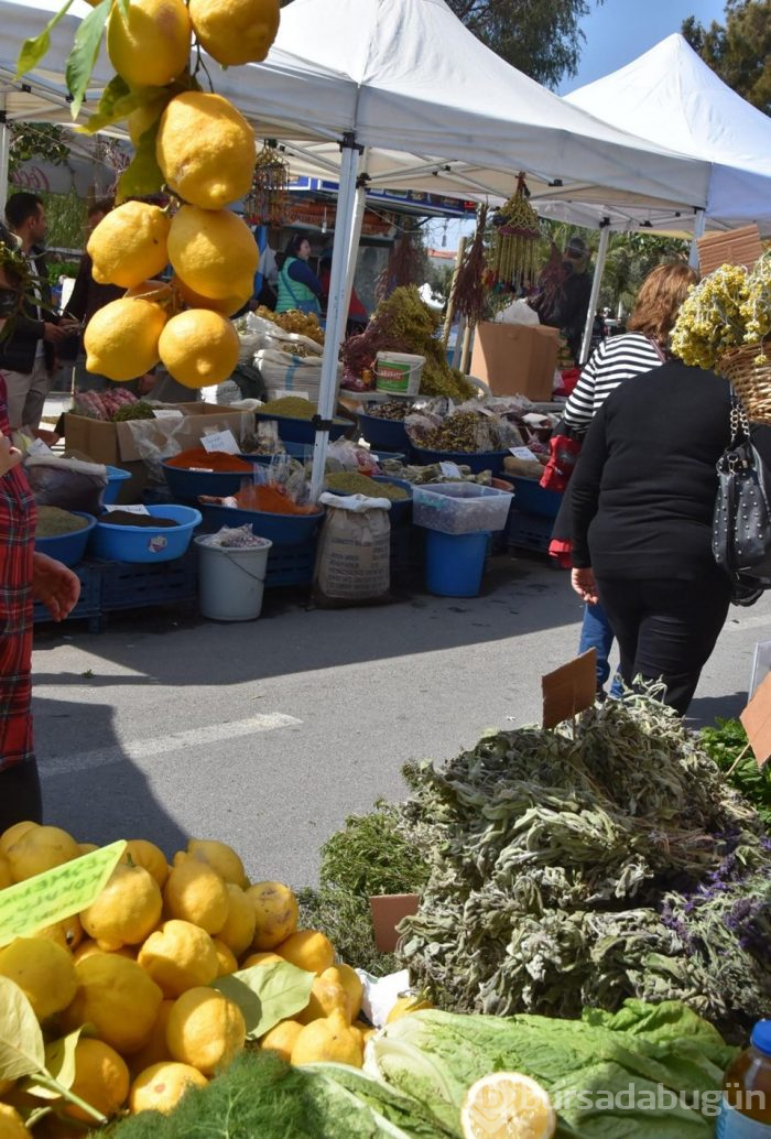 Alaçatı Ot Festivali'nden renkle kareler