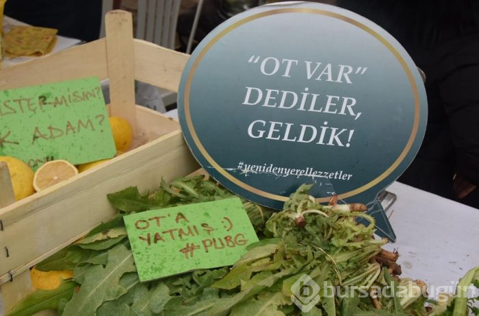 Alaçatı Ot Festivali'nden renkle kareler