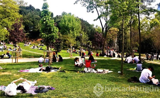 Piknik yapılabilecek 10 muhteşem yer!