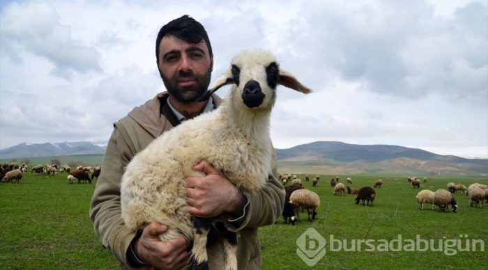 Besicilerin "mera hasreti" sona erdi
