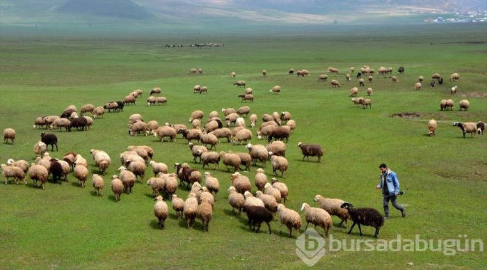 Besicilerin "mera hasreti" sona erdi
