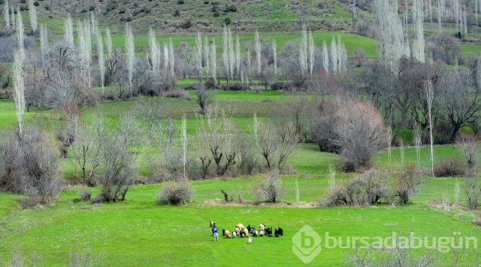Besicilerin "mera hasreti" sona erdi
