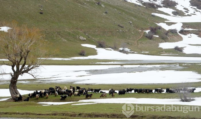Besicilerin "mera hasreti" sona erdi
