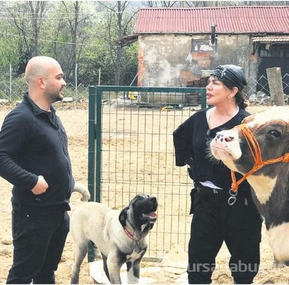  Sezen Aksu, kanser olduğu için ölüme terk edilen bir ata sahip çıktı 