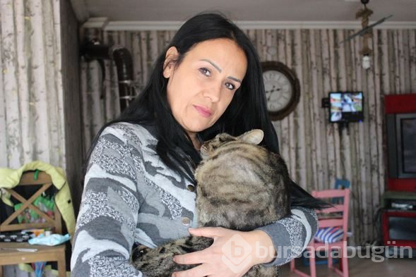 Felçli kediyi sevgi hayatta tutuyor
