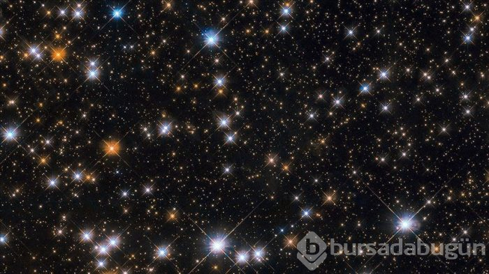 Bilim insanlarından gizemli duyuru: Bugün açıklanacak