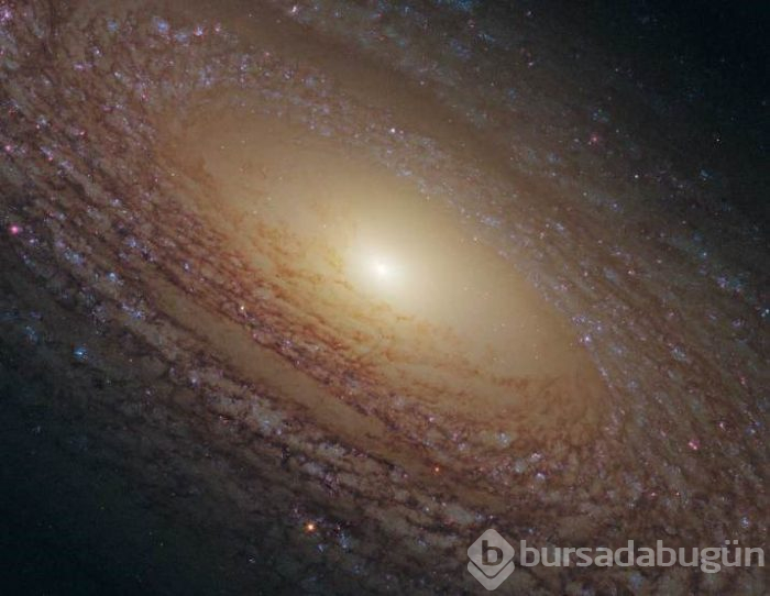 Bilim insanlarından gizemli duyuru: Bugün açıklanacak