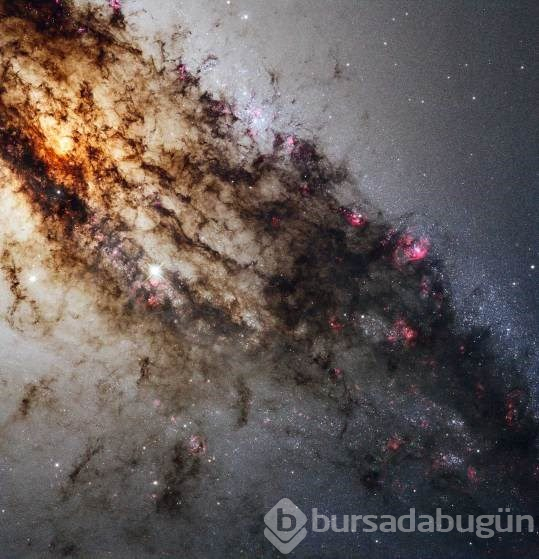 Bilim insanlarından gizemli duyuru: Bugün açıklanacak