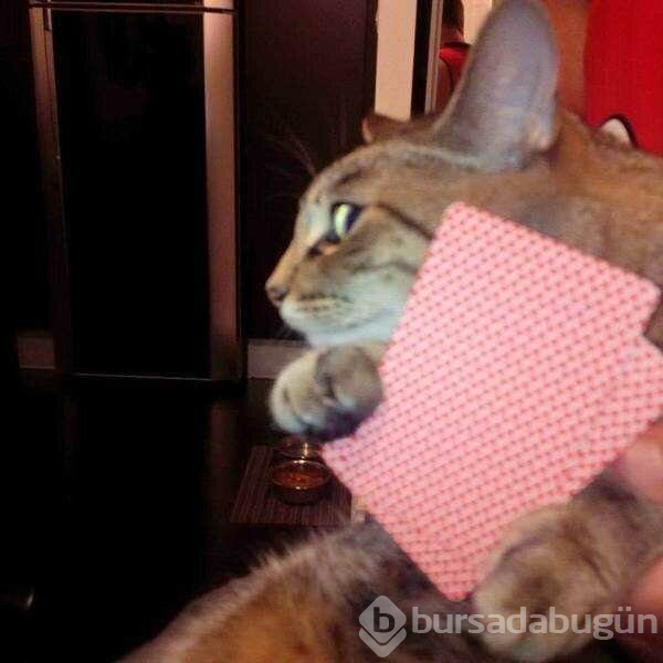 Günün en çok paylaşılan fotoğrafları (10.04.2019)