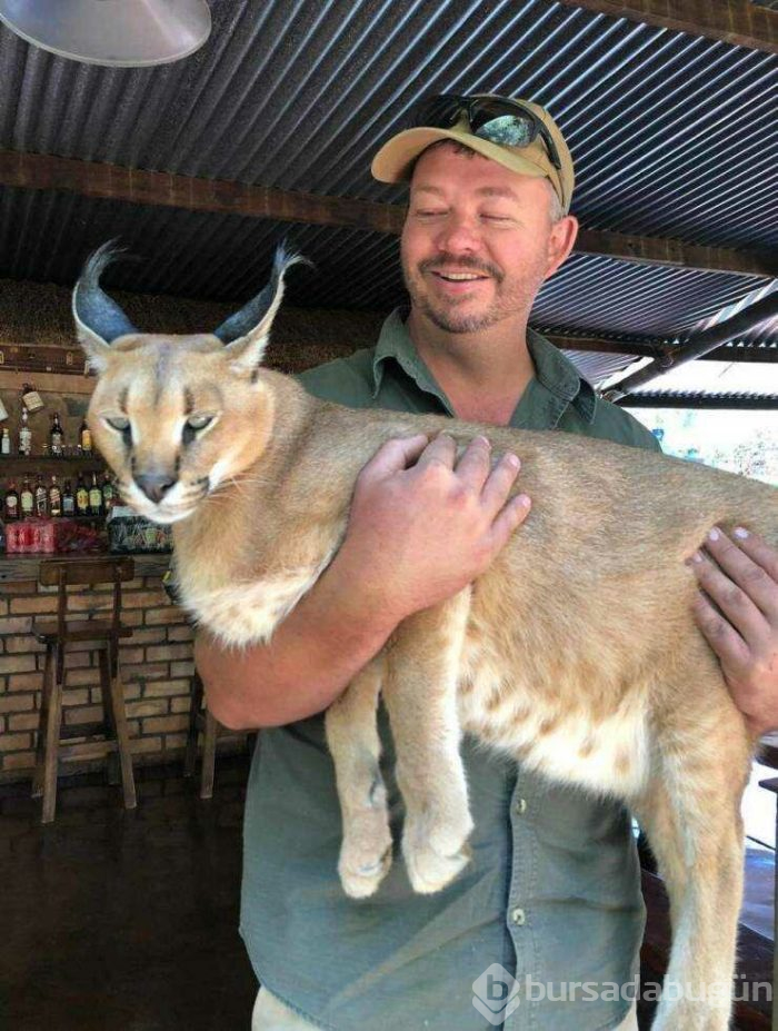 Günün en çok paylaşılan fotoğrafları (10.04.2019)