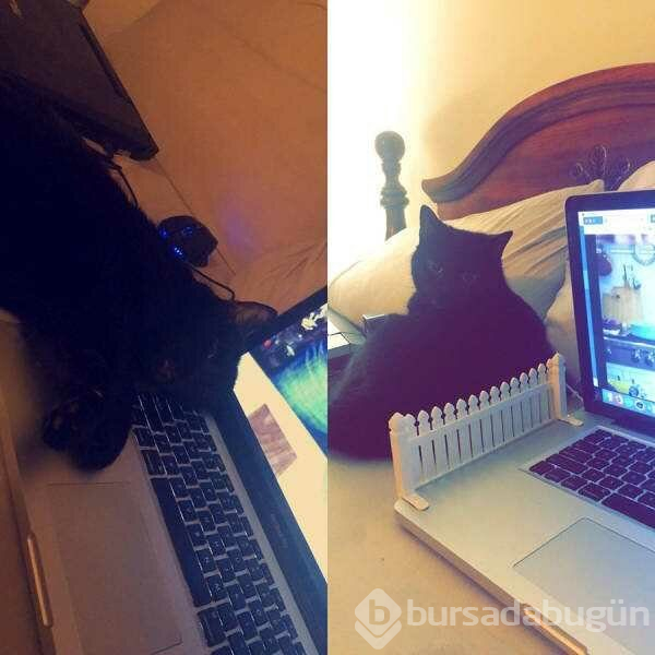 Günün en çok paylaşılan fotoğrafları (10.04.2019)