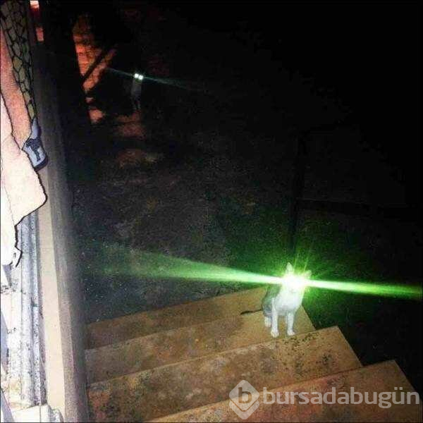 Günün en çok paylaşılan fotoğrafları (10.04.2019)