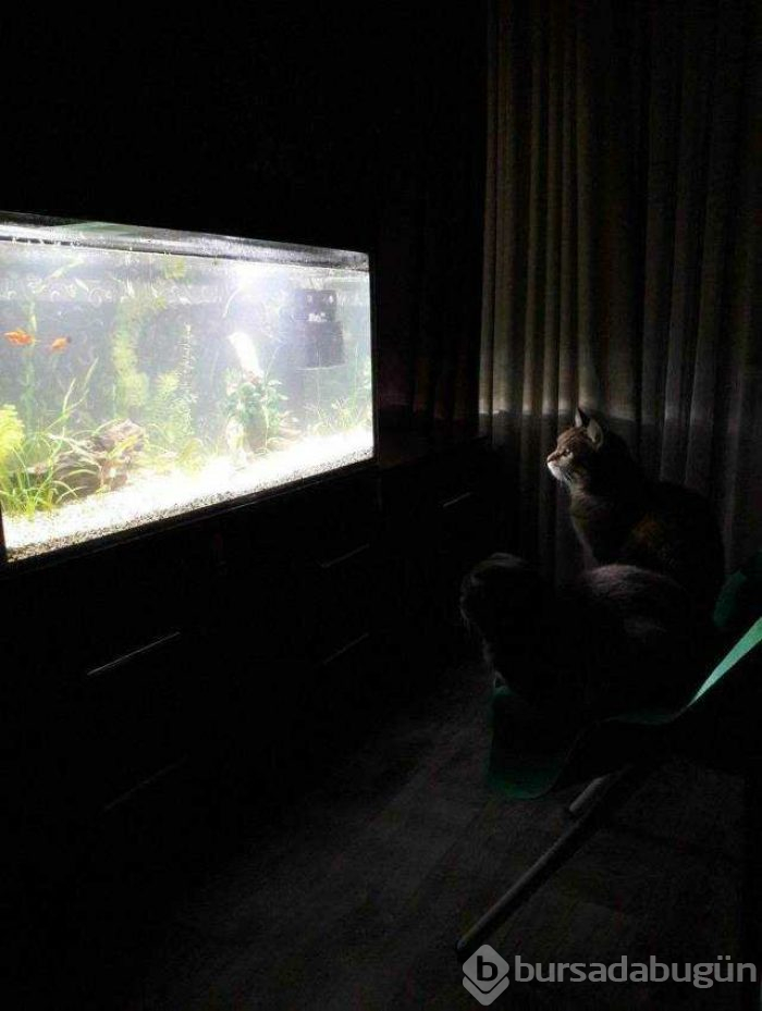 Günün en çok paylaşılan fotoğrafları (10.04.2019)