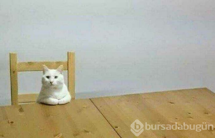 Günün en çok paylaşılan fotoğrafları (10.04.2019)