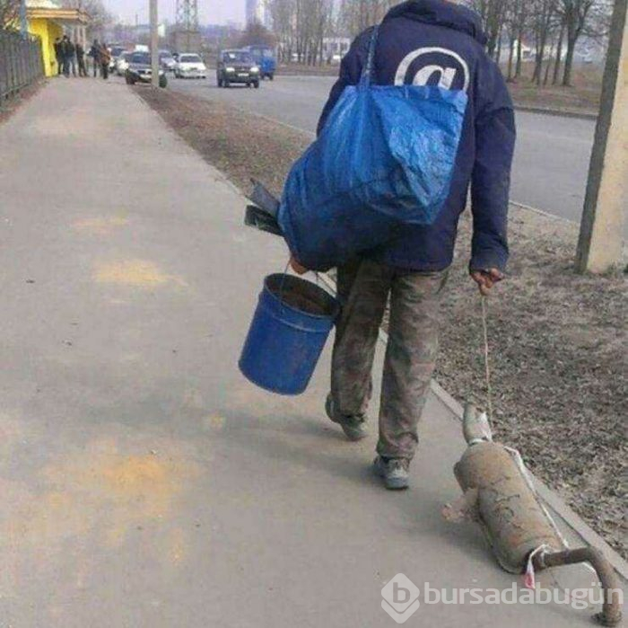 Günün en çok paylaşılan fotoğrafları (10.04.2019)