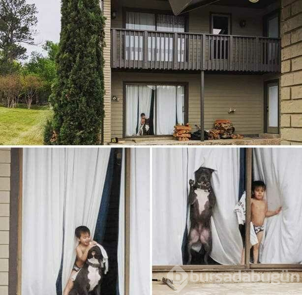 Günün en çok paylaşılan fotoğrafları (10.04.2019)