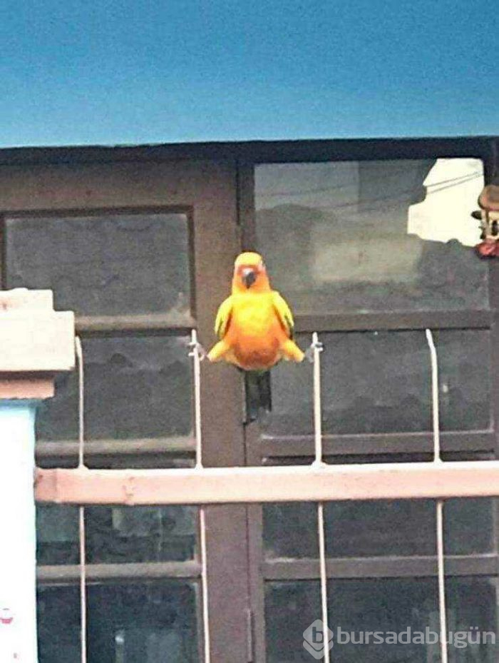 Günün en çok paylaşılan fotoğrafları (10.04.2019)