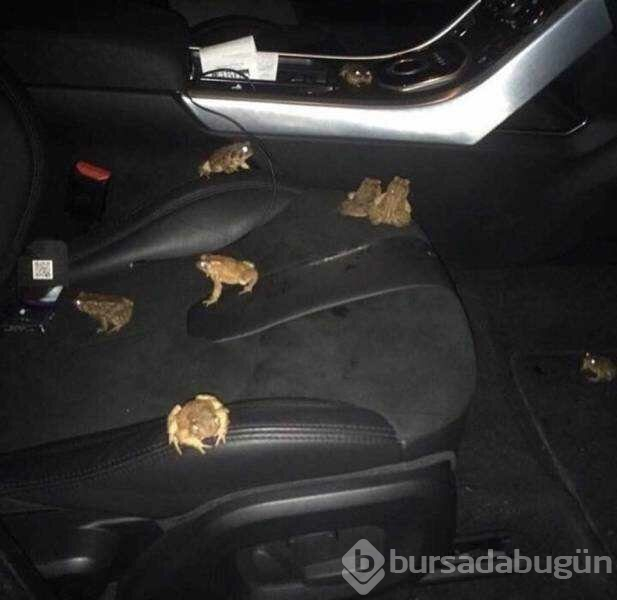 Günün en çok paylaşılan fotoğrafları (10.04.2019)