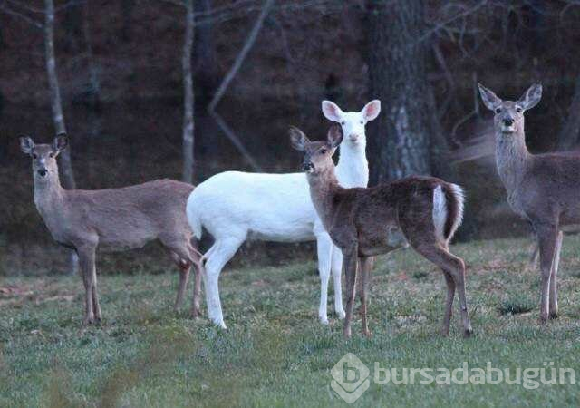 Günün en çok paylaşılan fotoğrafları (10.04.2019)