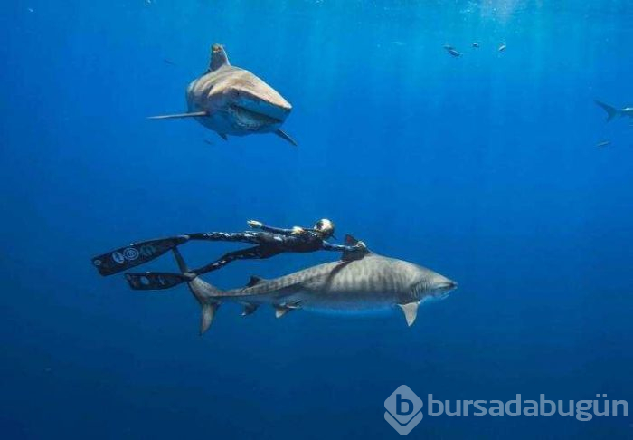 Günün en çok paylaşılan fotoğrafları (10.04.2019)