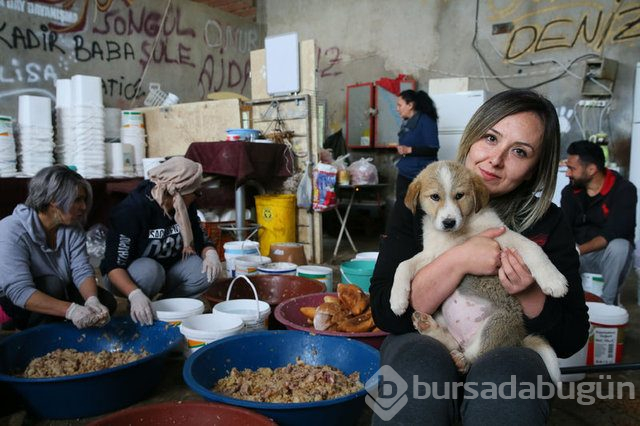  Sahipsiz 600 köpeğin bakımını yapıyorlar 