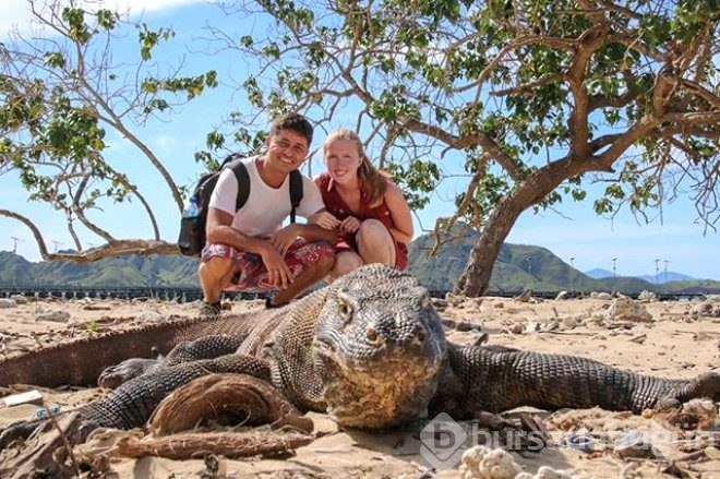 Turistlerin bu adaya girmesi yasaklandı!