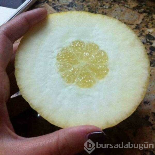 İnsanların başına gelen talihsiz olaylar
