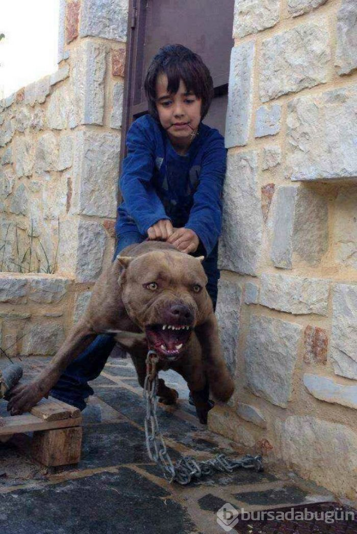 İnsanların başına gelen talihsiz olaylar
