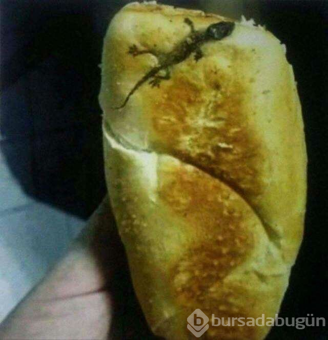 İnsanların başına gelen talihsiz olaylar

