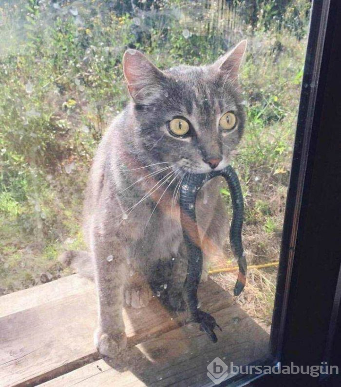 Günün en çok paylaşılan fotoğrafları (12.04.2019)