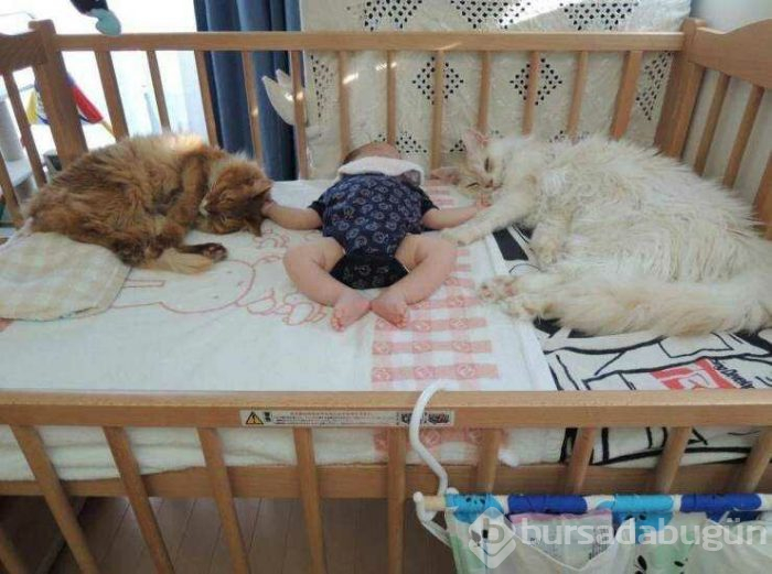 Günün en çok paylaşılan fotoğrafları (12.04.2019)