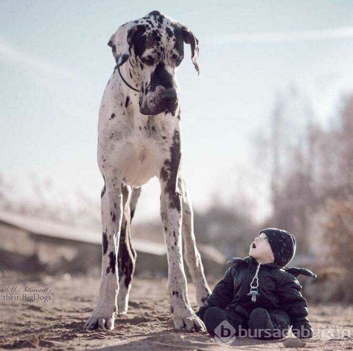 Günün en çok paylaşılan fotoğrafları (12.04.2019)