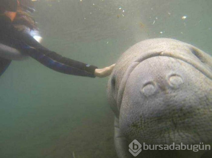 Günün en çok paylaşılan fotoğrafları (12.04.2019)