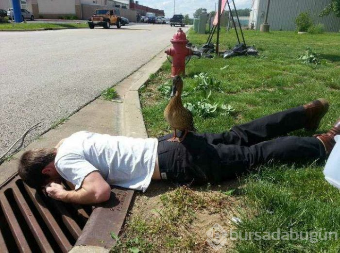 Günün en çok paylaşılan fotoğrafları (12.04.2019)
