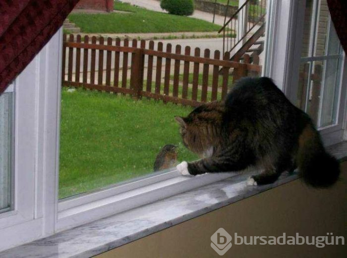 Günün en çok paylaşılan fotoğrafları (12.04.2019)