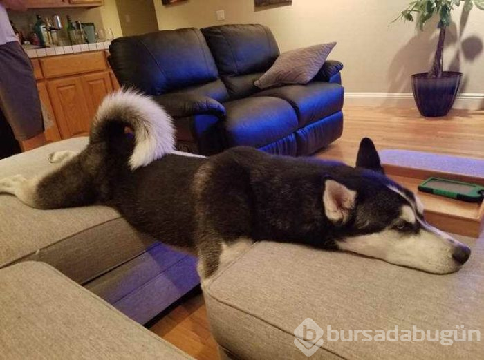 Günün en çok paylaşılan fotoğrafları (12.04.2019)