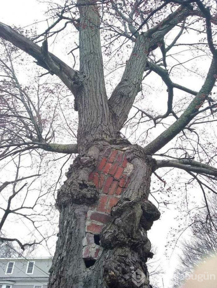 Günün en çok paylaşılan fotoğrafları (12.04.2019)