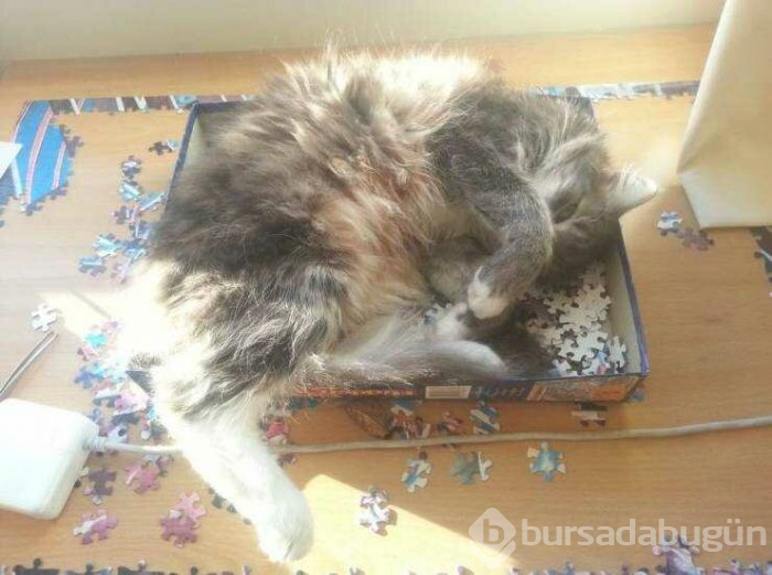Günün en çok paylaşılan fotoğrafları (12.04.2019)
