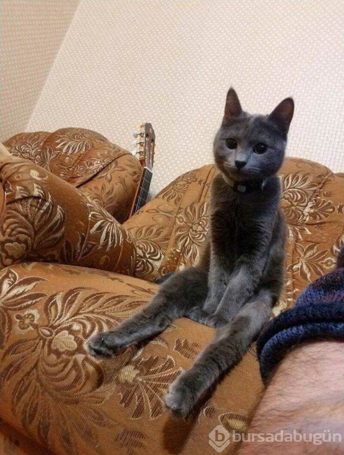 Günün en çok paylaşılan fotoğrafları (12.04.2019)